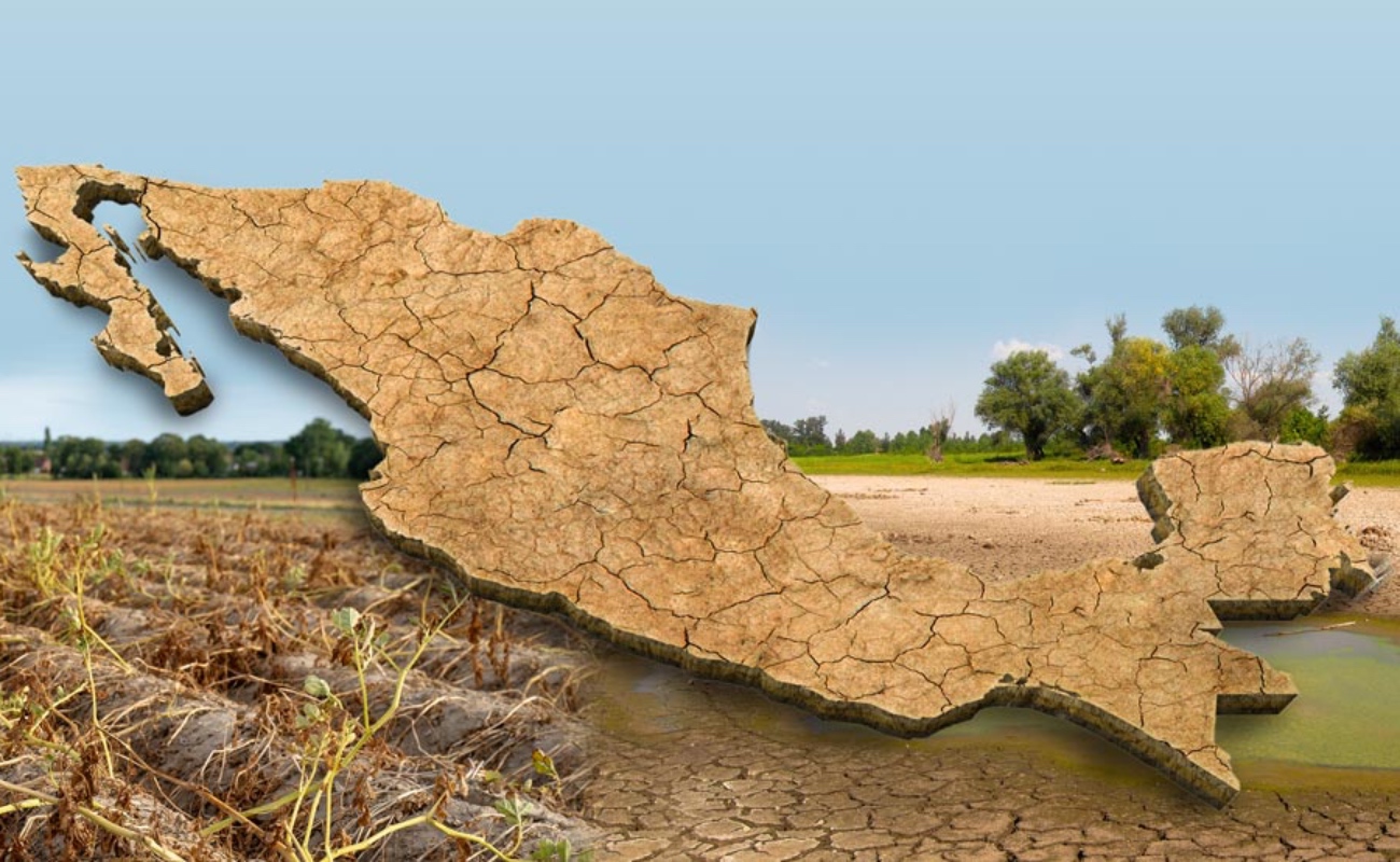 La sequía y las olas de calor ponen en riesgo la seguridad alimentaria