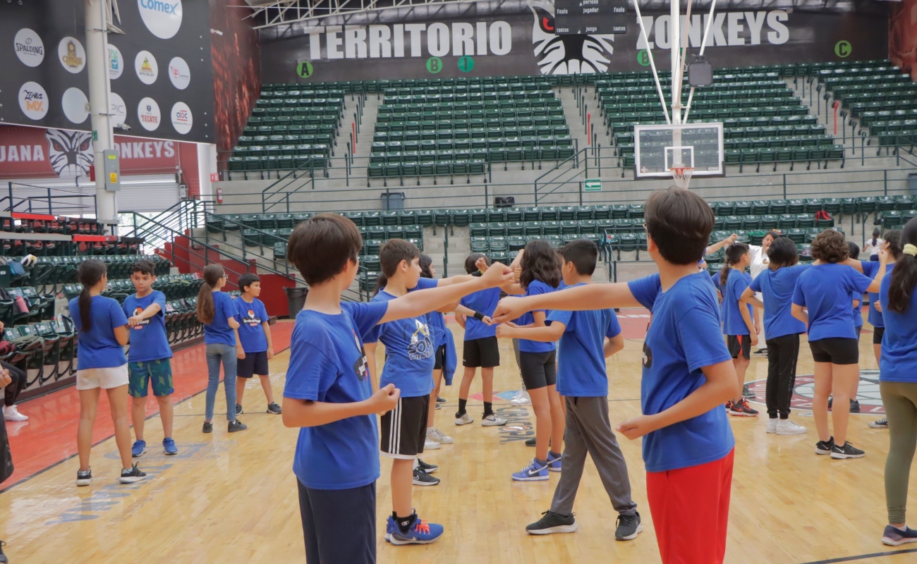 Zonkeyscamp 2024: ¡El lugar donde los recuerdos de Verano se hacen realidad!