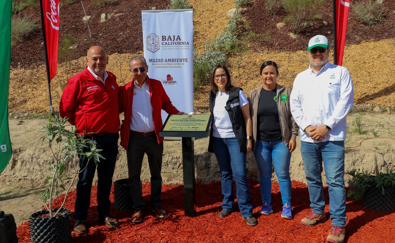 Contribuye Nación Verde a creación de Talud del Sol en Parque Esperanto