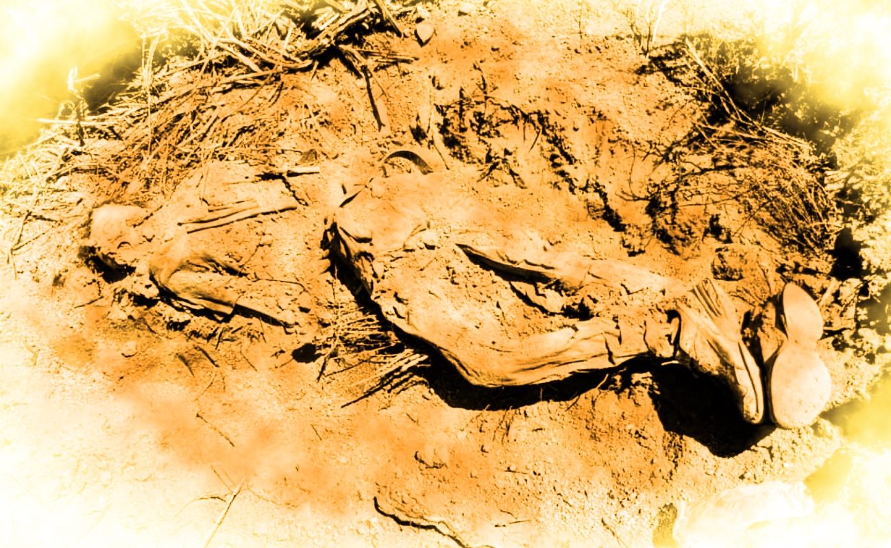 Siguen hallando restos humanos en fosa clandestina del Maclovio Rojas