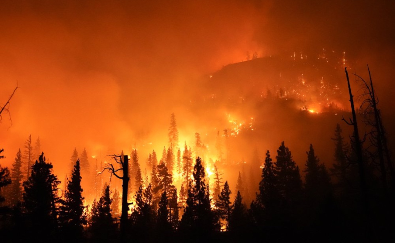 Sufre California por incendios, cortes de energía y fuertes vientos