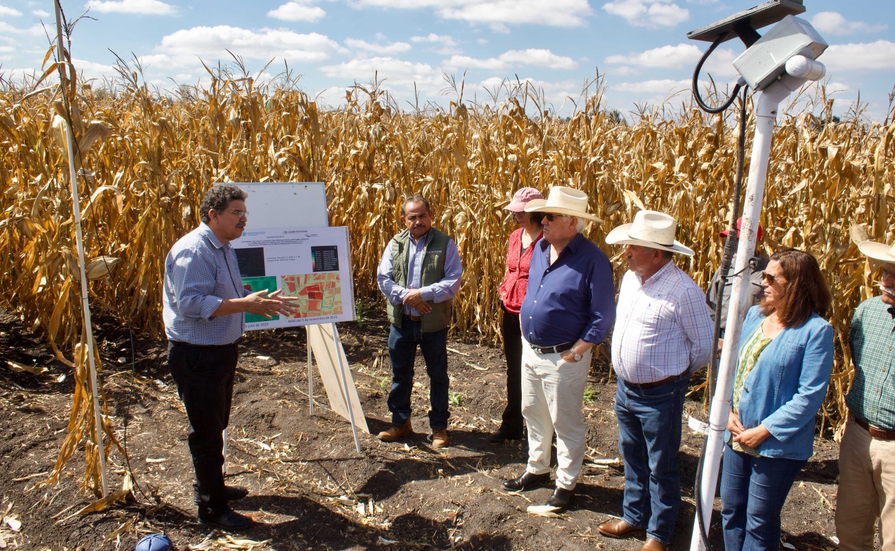 Destaca Agricultura colaboración institucional para digitalizar la agricultura en el campo de México