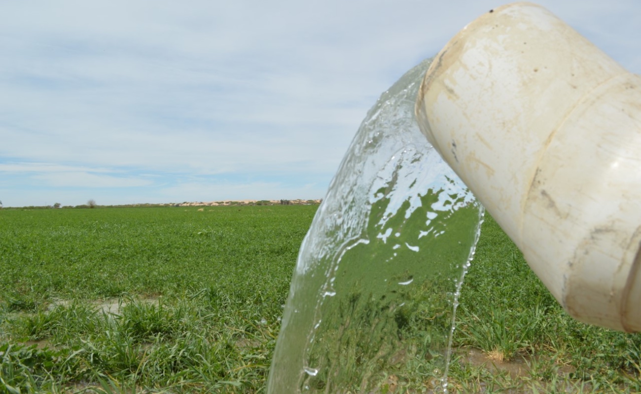 Recortes en dotación de agua del Río Colorado inciden en actividades agrícolas de BC