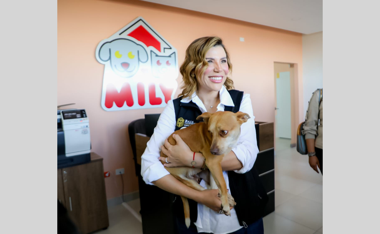 Informa gobernadora Marina del Pilar avances en la operación del Santuario Animal Mily