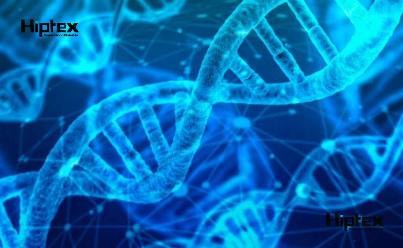 Descubren una mutación genética que aumentó la estatura y aceleró el metabolismo humano