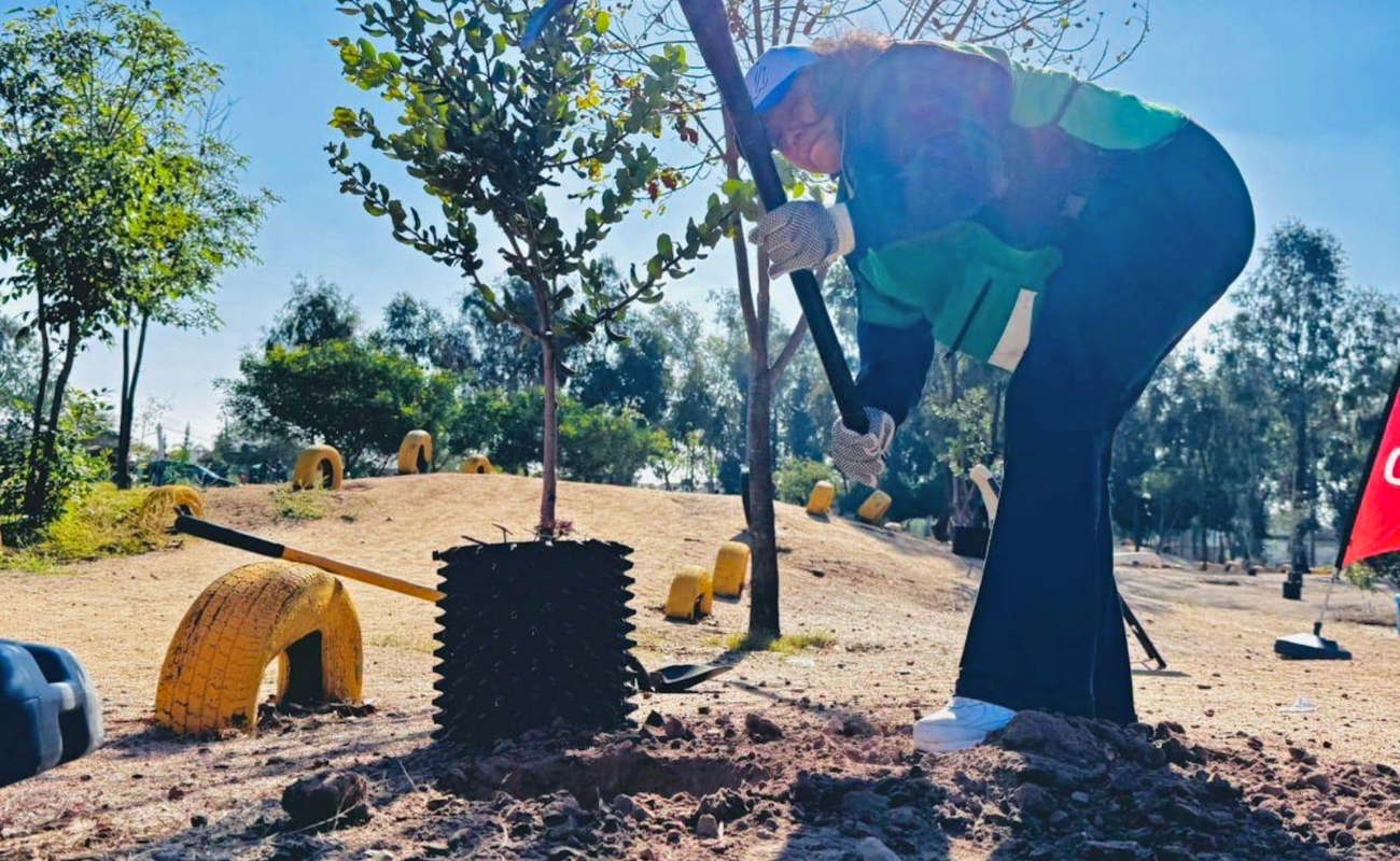 Reforesta Gobierno Municipal Parque de la Amistad con especies nativas