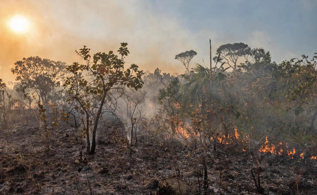 La OMM advierte un aumento de 3°C en la temperatura global si no se actúa de inmediato