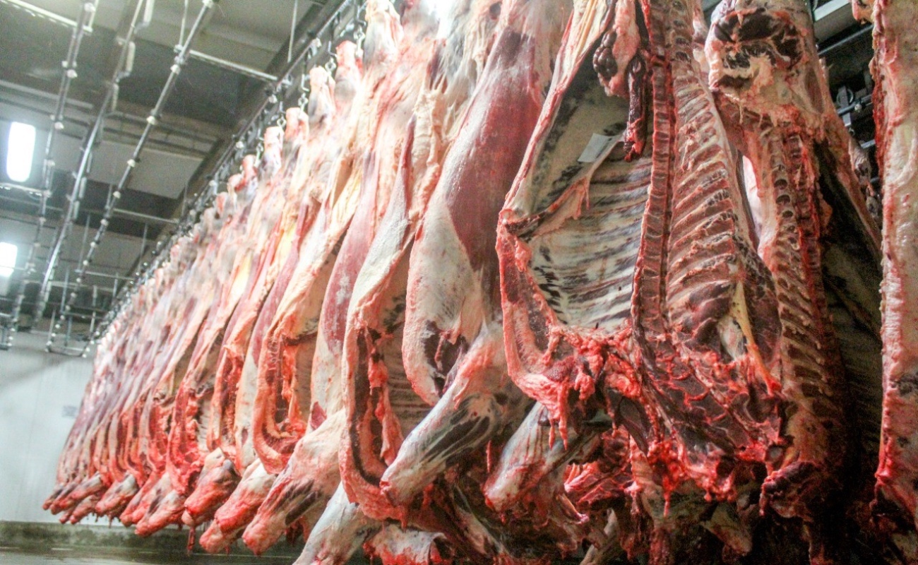 Continúa programa de certificación de carne bovina en BC