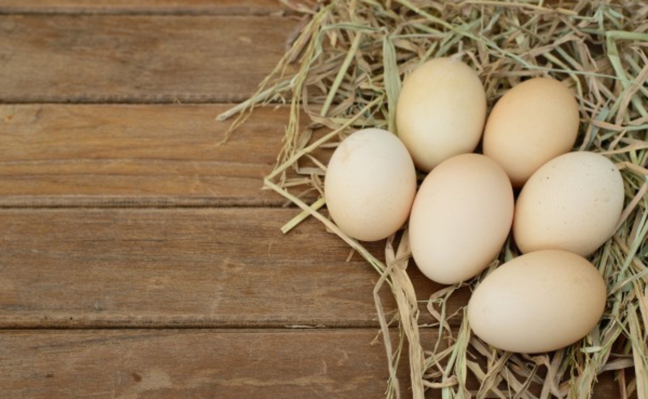 Se mantiene la crisis del huevo en EU: precio sube 8.5% en Enero, no hay indicios de que vaya a bajar