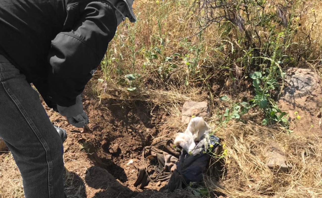 Encuentran esqueleto maniatado y sin cráneo en Ensenada