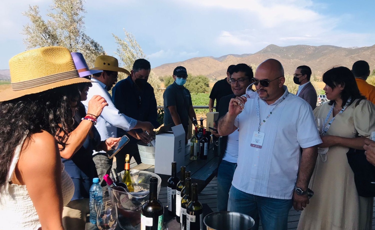 Enólogos internacionales reconocen la calidad de los vinos de Baja California