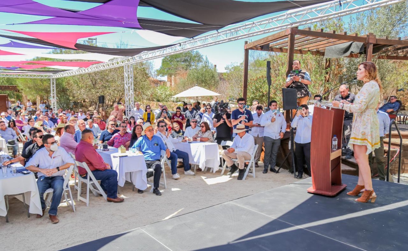 Garantizan dotación de agua potable para poblados e industria vitivinícola del Valle de Guadalupe