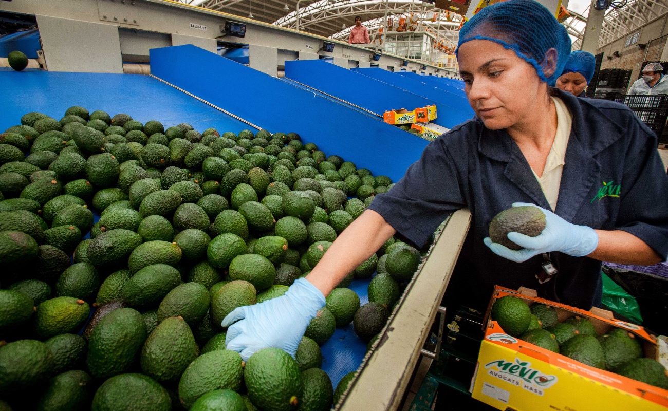 México, con capacidad para abrir nuevos mercados agroalimentarios: Agricultura