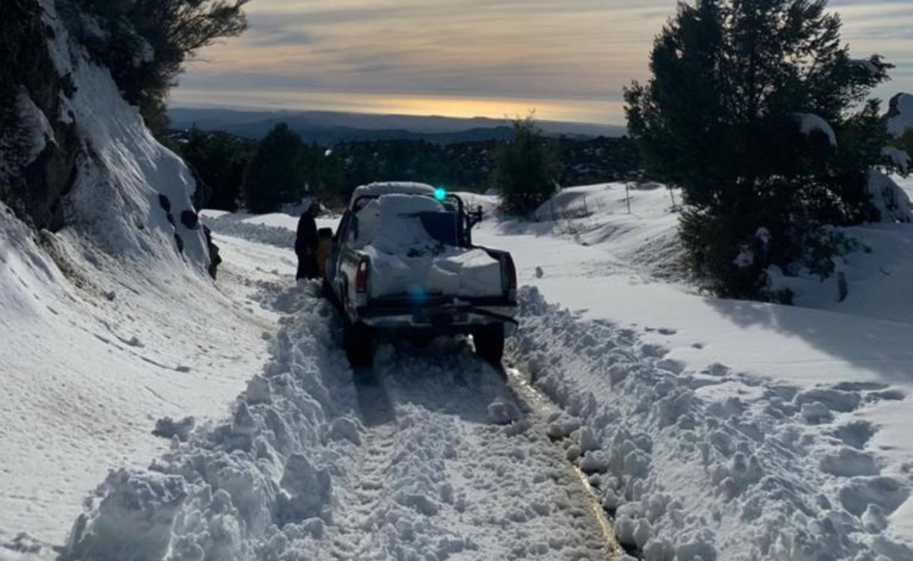 Rescatan a familia atrapada durante nevada en Sierra de San Pedro Mártir