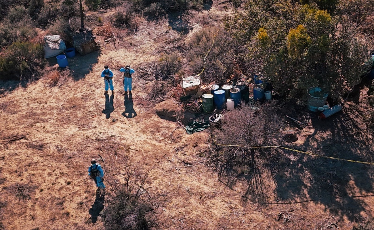 Aseguran narco laboratorio en sierra San Pedro Mártir