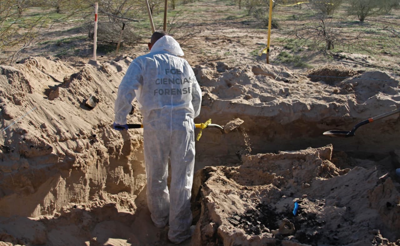 Colectivos refieren que este sábado se hallaron otros cinco cuerpos.