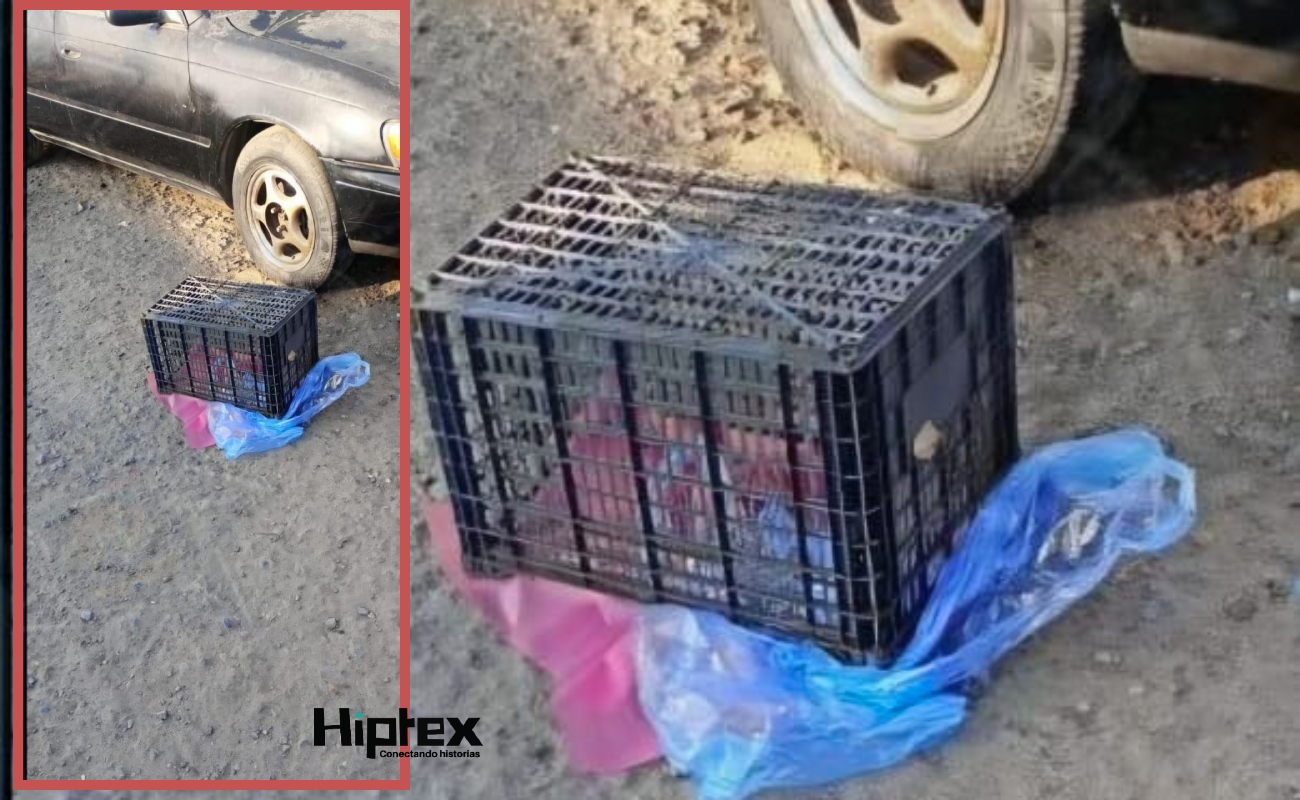 El incidente fue reportado poco después de las 07:00 horas de este martes.