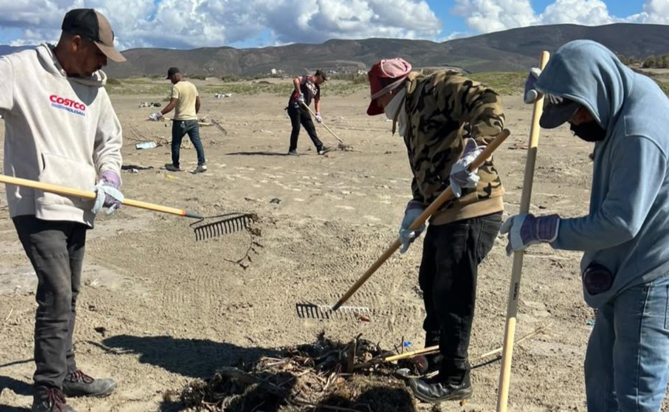 Retira Gobierno de Ensenada alrededor de 200 toneladas de residuos de playas tras Rachel