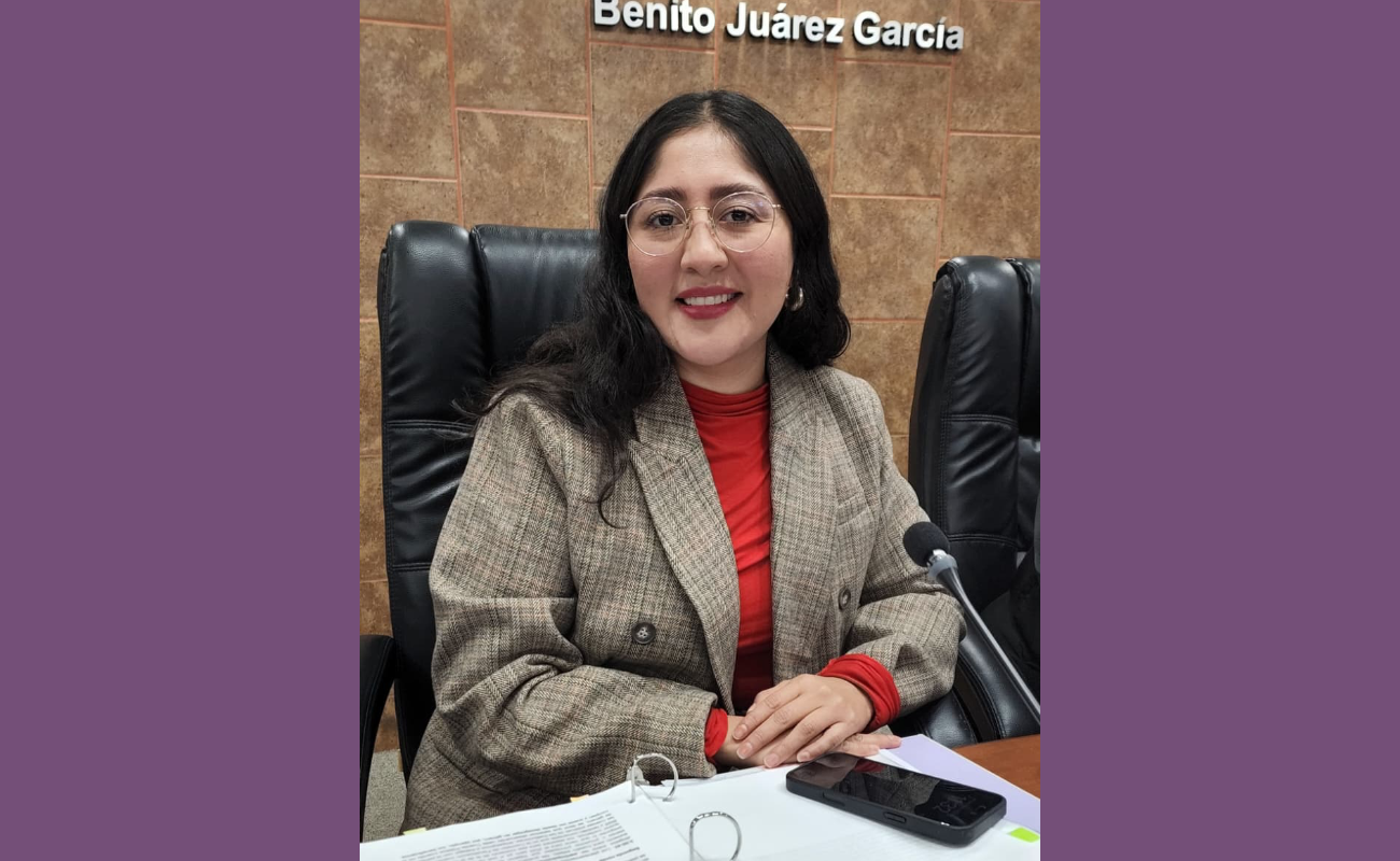 La propuesta fue presentada por la diputada Michel Sánchez.