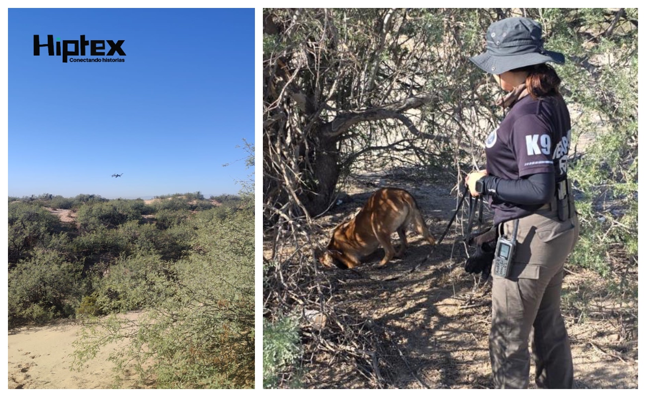 La zona se recorrió a pie y en cuatrimotos, orientados a la localización de indicios de restos óseos o humanos, sin éxito.