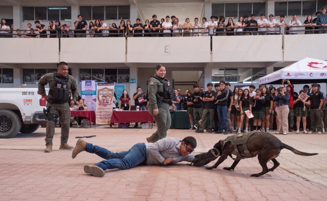 Durante este 2026 se han llevado dos jornadas en planteles de Mexicali y Tijuana, beneficiando a más de 4,200 estudiantes de todos los semestres.