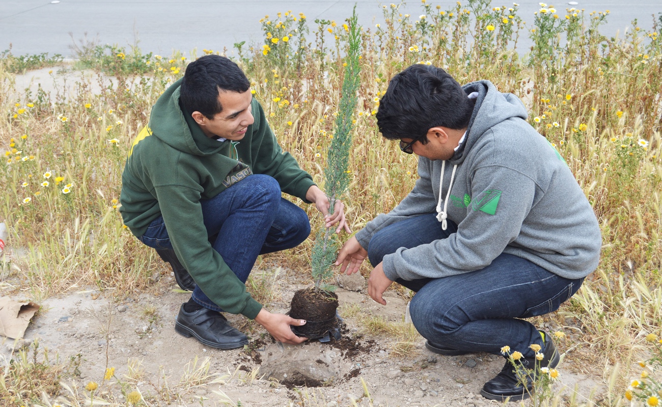 La regla de este terreno es que todo lo que se siembre, sea planta nativa