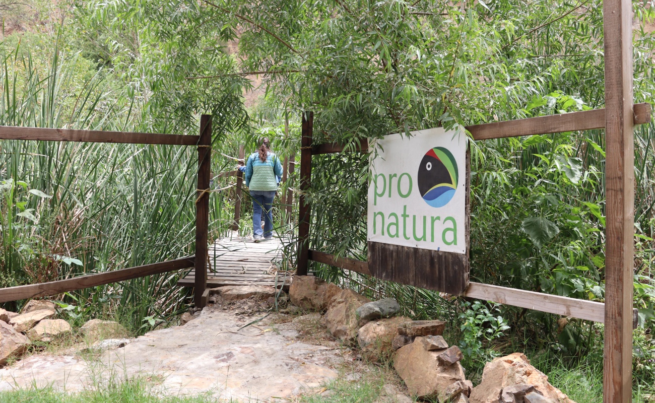 Reforestación y educación ambiental continúa transformando Tijuana Río Conecta