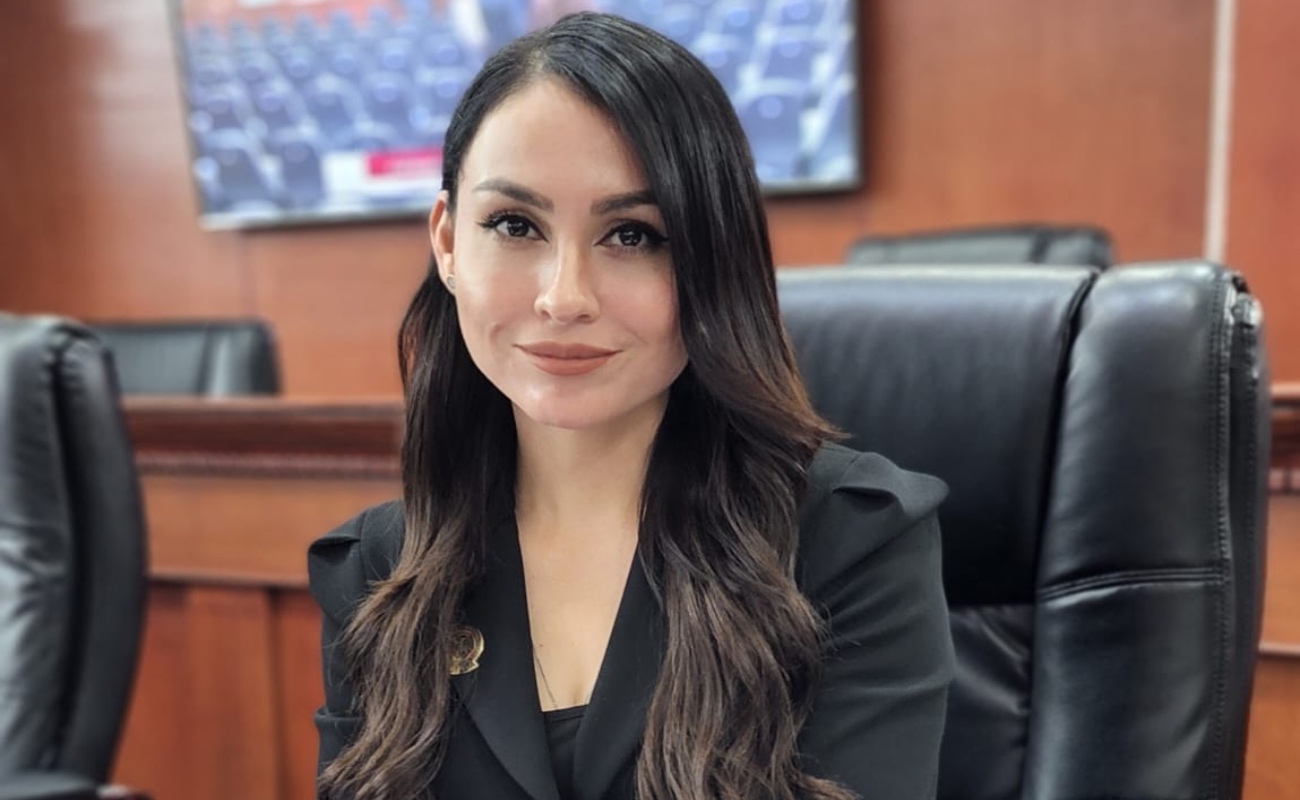 La legisladora del PT advierte que los autos irregulares siguen vinculados a delitos contra la seguridad y el patrimonio