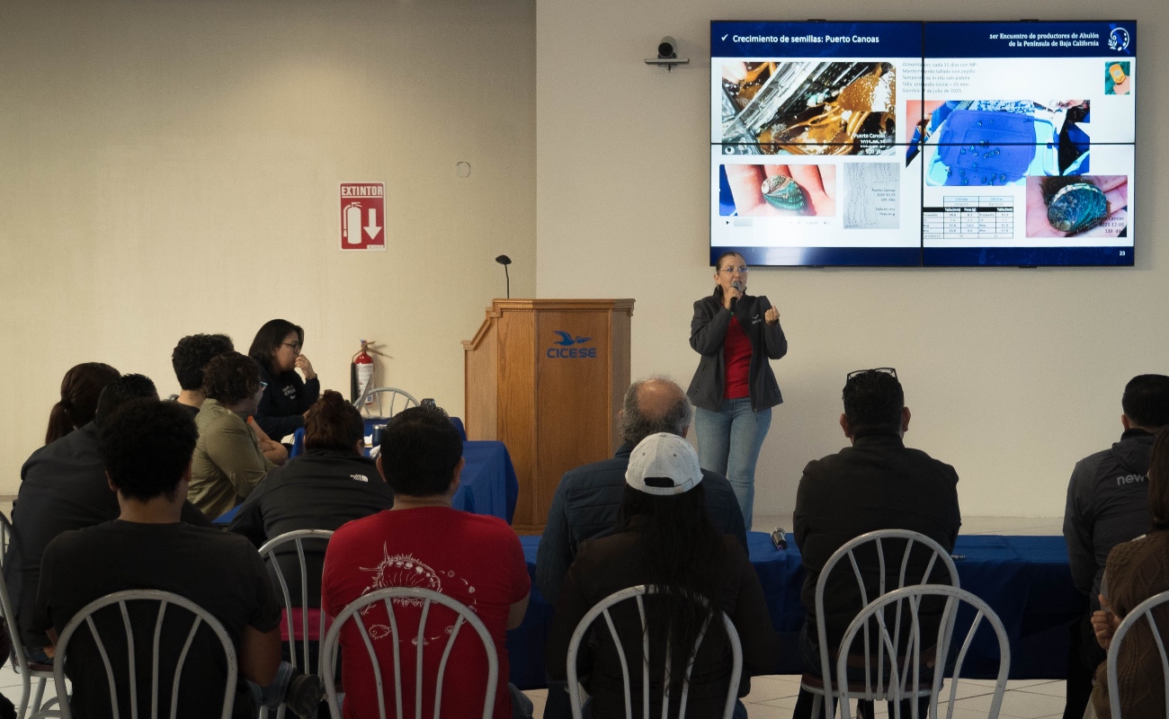 Impulsa CICESE innovación tecnológica con productores de abulón