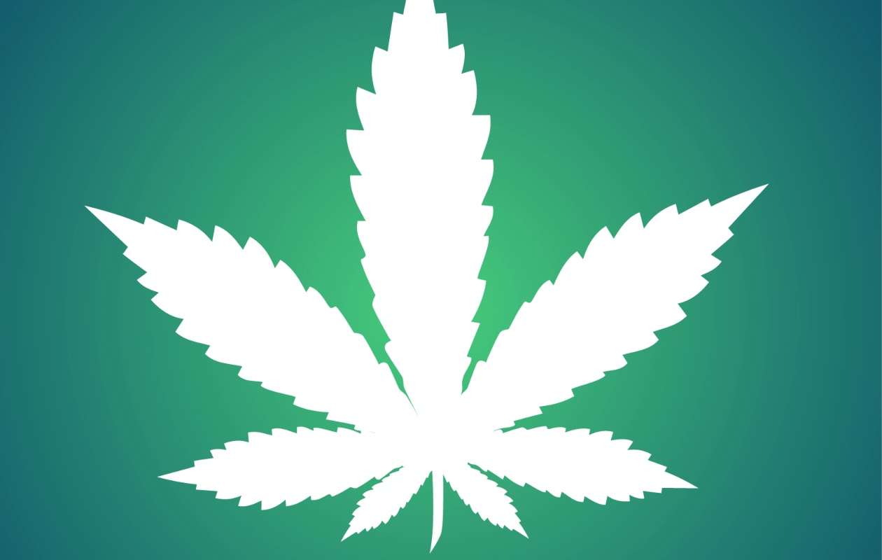 A nivel mundial el valor del mercado de productos derivados de la marihuana superará los 31 mil millones de dólares para el año 2021.