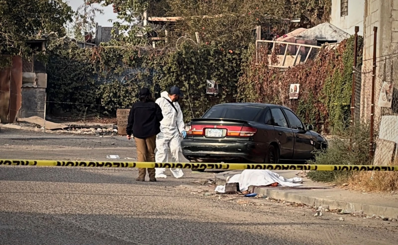 Hallan a mujer asesinada; se presume estaba embarazada