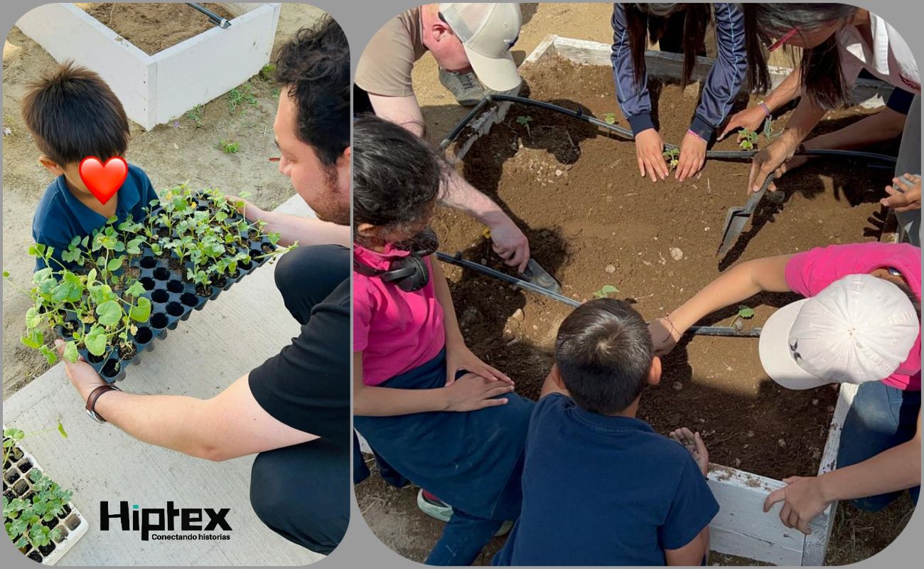 Implementa DIF BC huerto pedagógico en albergue temporal de Tijuana