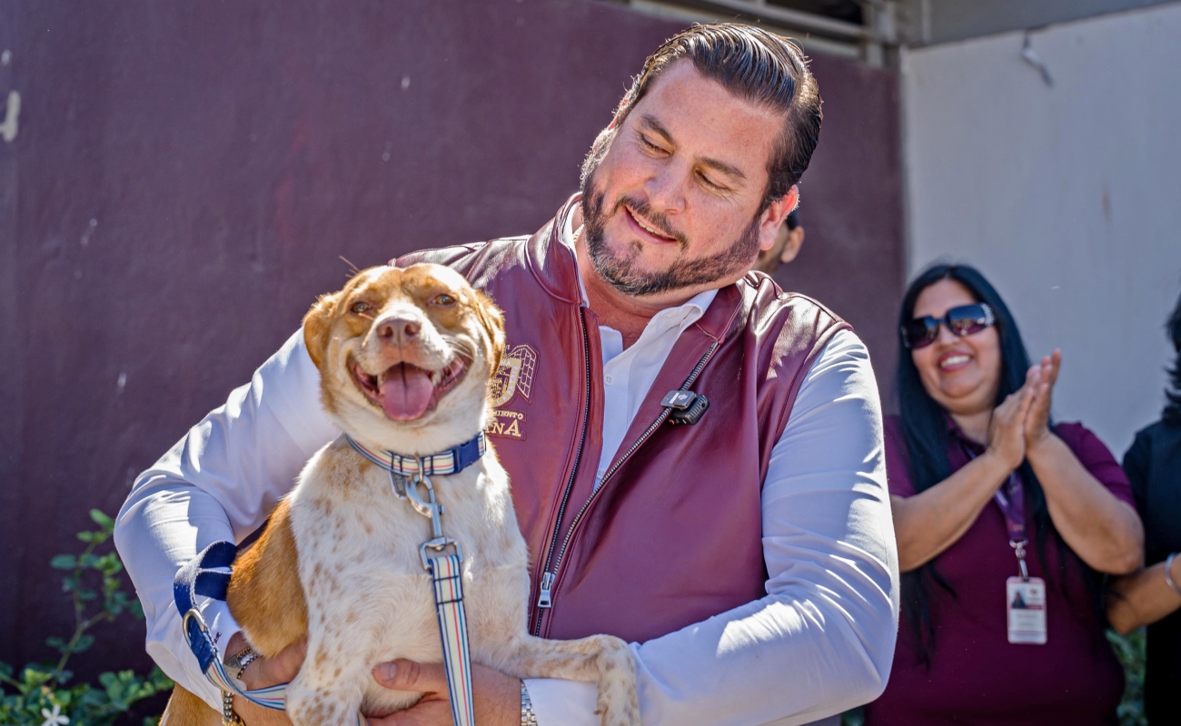 Se registraron 3718 esterilizaciones y 529 adopciones; el Palacio Municipal es pet friendly.
