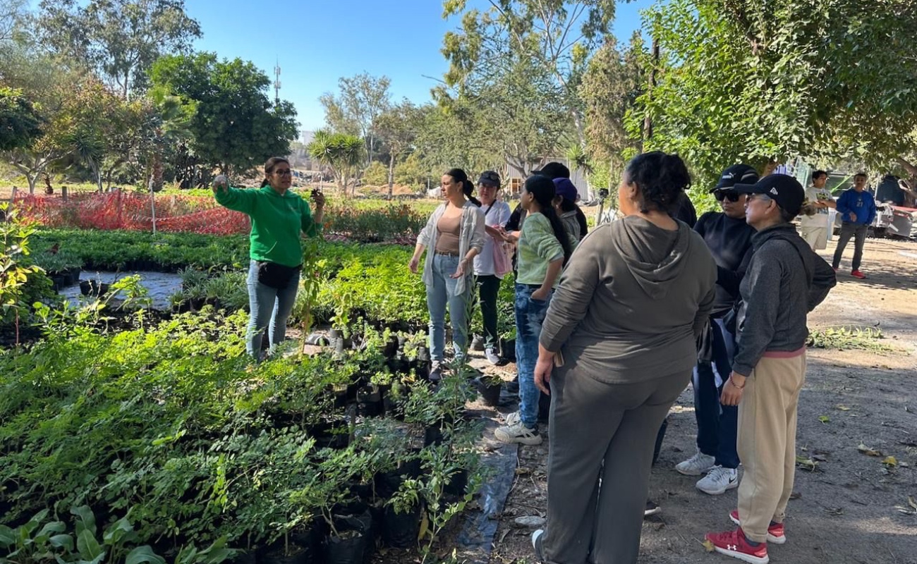Más de 500 personas en Tijuana han sido beneficiadas con talleres para la creación de huertos y jardines polinizadores.