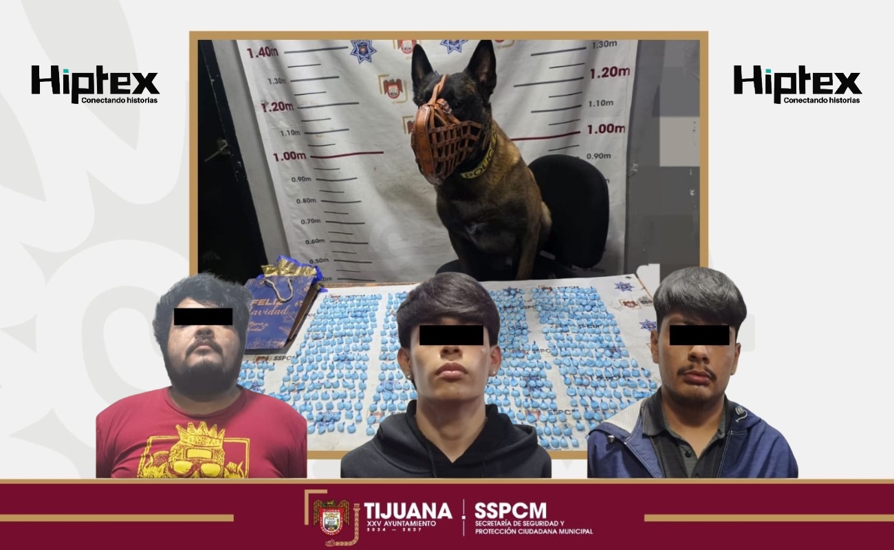 Los detenidos y los indicios fueron puestos a disposición de la autoridad correspondiente.