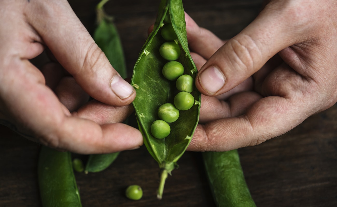 Los resultados forman parte del Panorama de la Seguridad Alimentaria y Nutricional en América Latina y el Caribe.