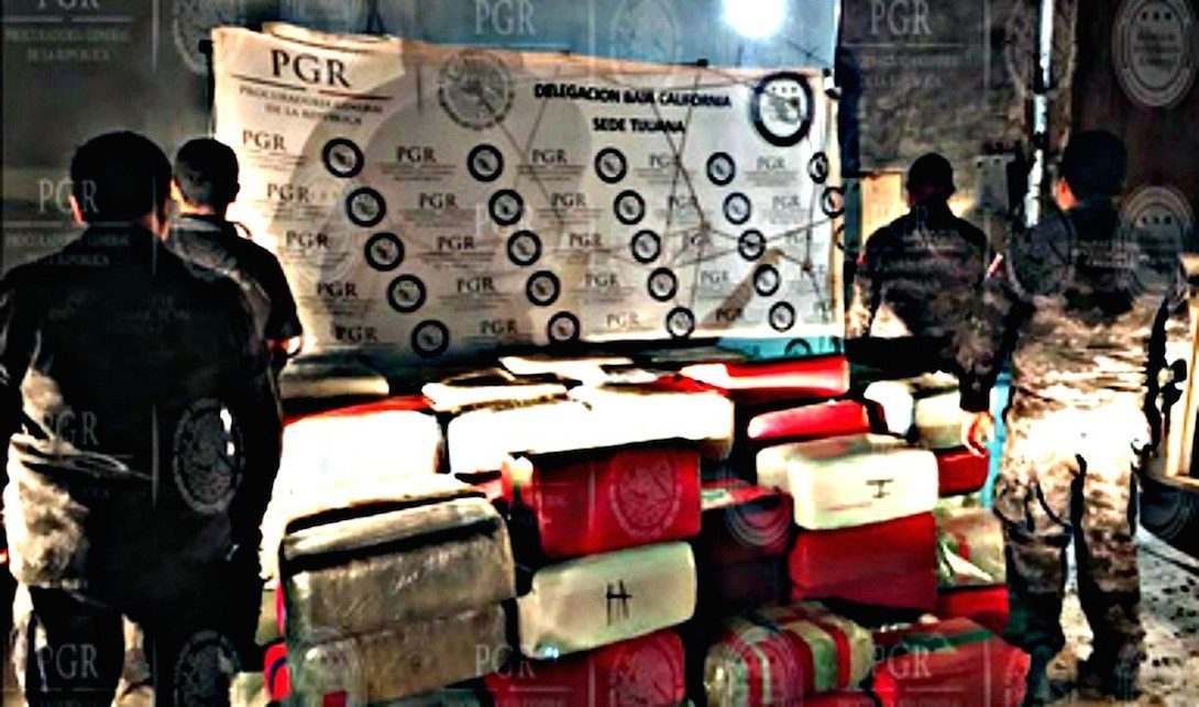 Aseguran 10 toneladas de marihuana en la Nueva Aurora