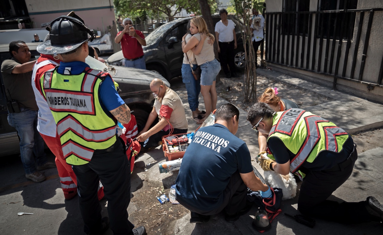 El incendio se inició en un colchón del apartamento.