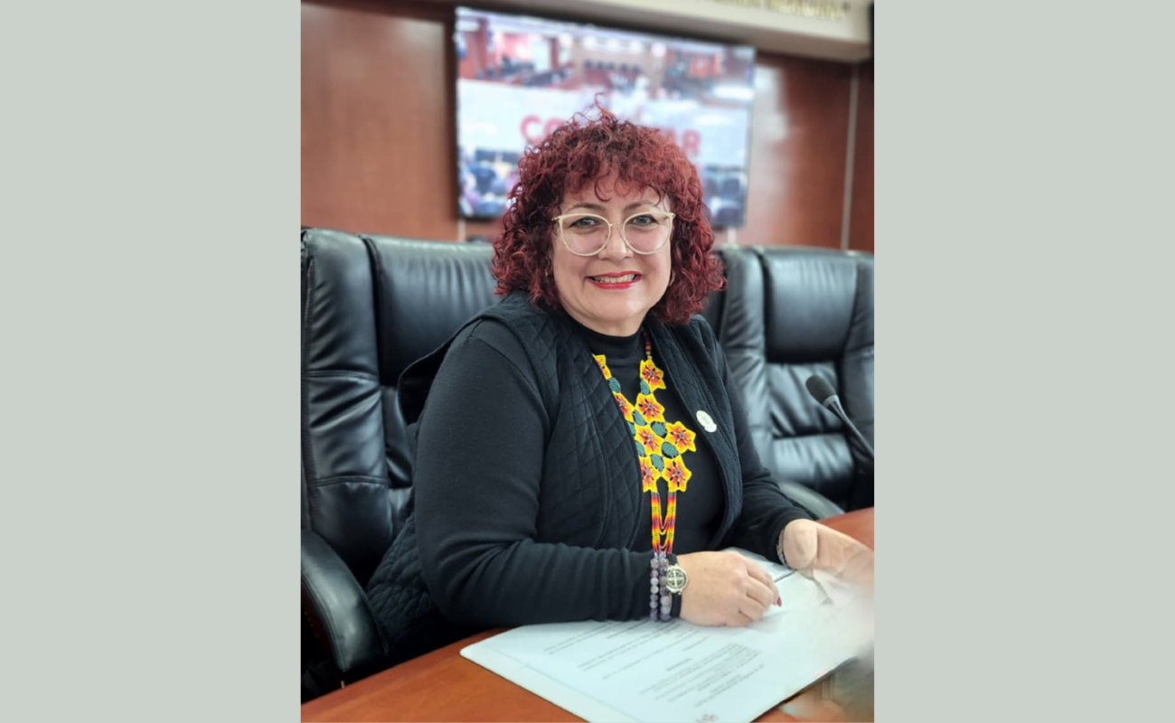 “Debemos garantizar que toda iniciativa, sin importar quién la presente, sea visible y forme parte de un ejercicio real de transparencia”, señaló la legisladora.