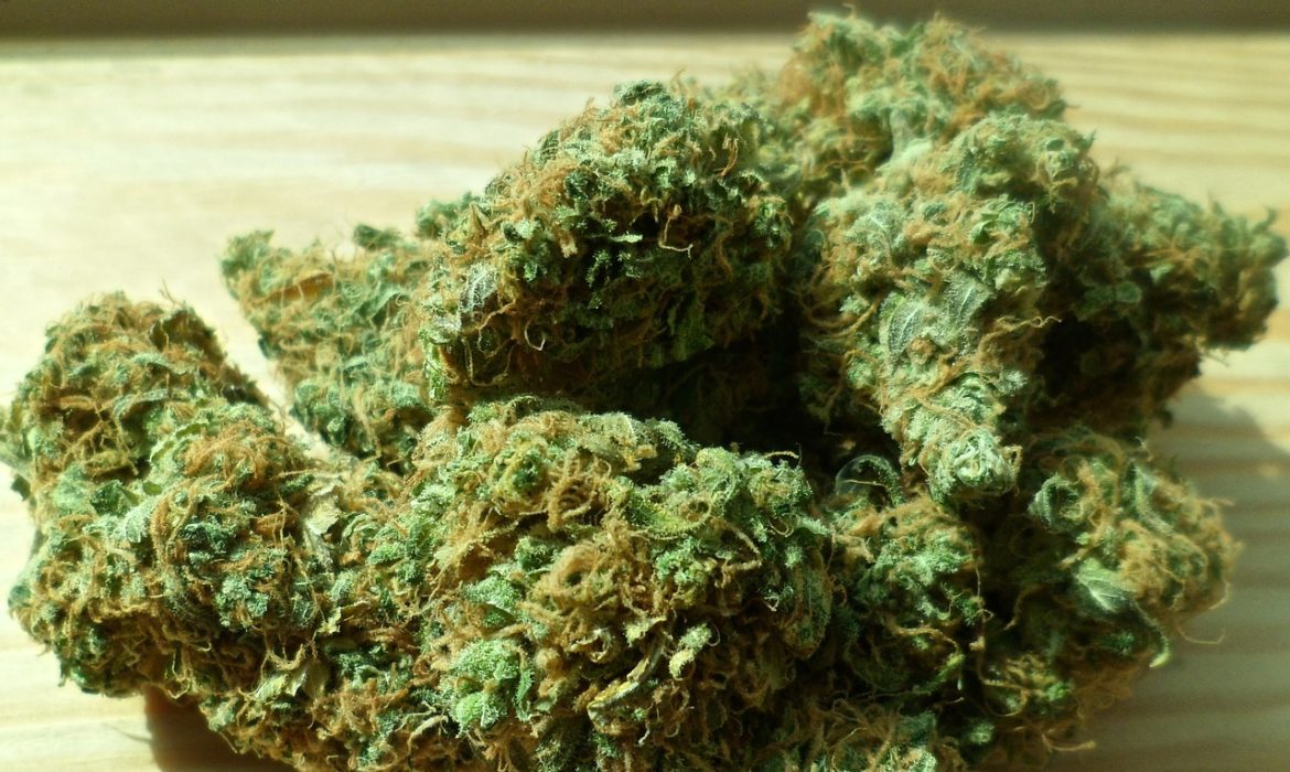 Suma PEP 15 toneladas de marihuana aseguradas en dos semanas