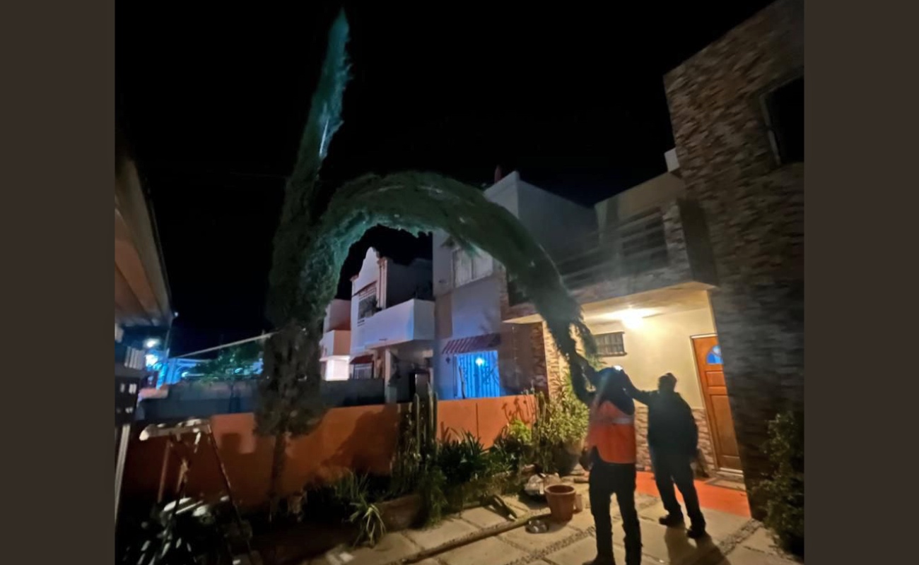 El Gobierno de Tecate emitió una alerta preventiva por la condición Santa Ana, con vientos fuertes y temperaturas cálidas.