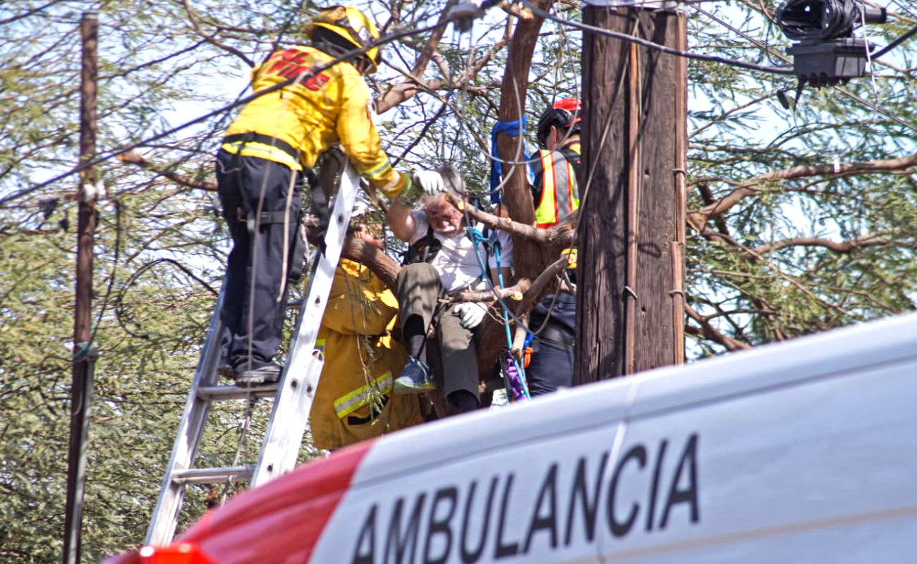 Hombre de la tercera edad muere tras recibir descarga eléctrica al intentar podar un árbol