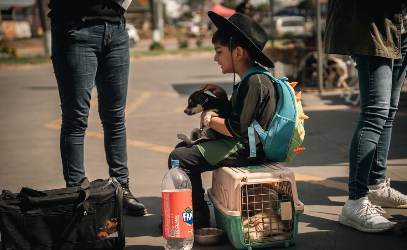 Realizan feria de adopción y vacunación de mascotas en Playas de Rosarito