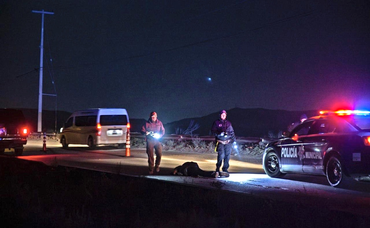 El accidente fue a la altura del fraccionamiento Hacienda Las Delicias.