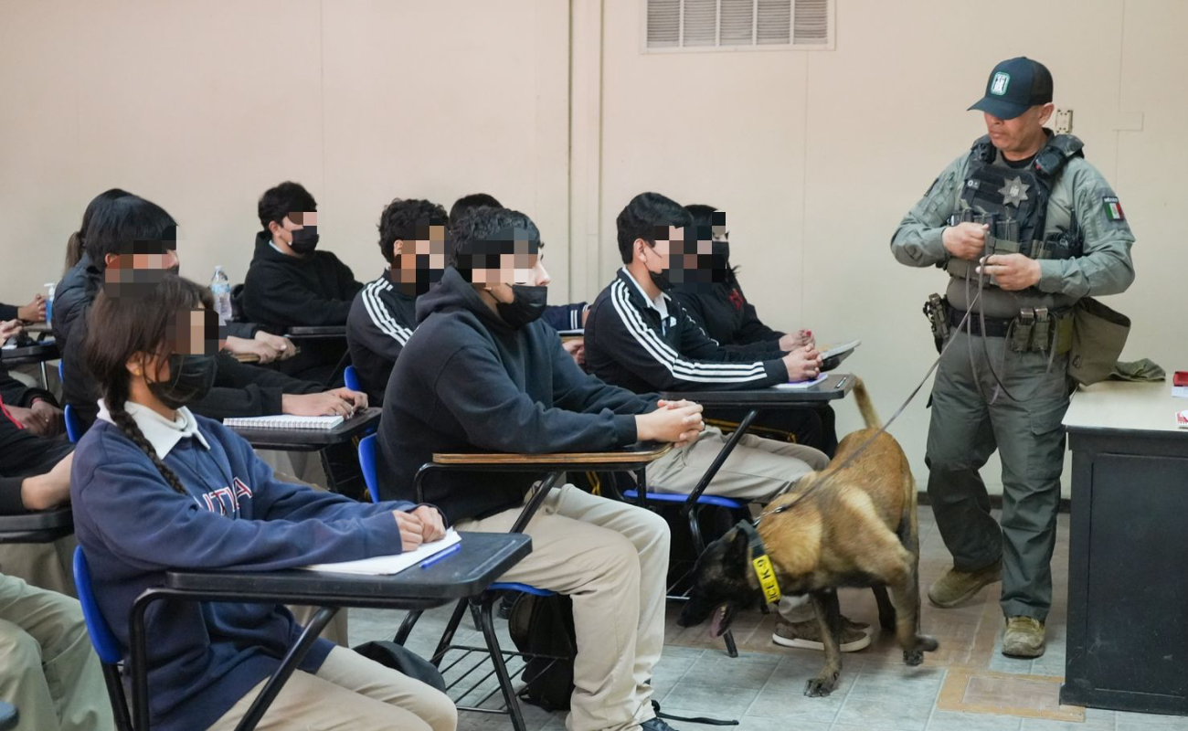 El agente canino policial ´Willie´, junto a su manejador, intervino seis aulas en búsqueda de objetos y sustancias ilícitas.