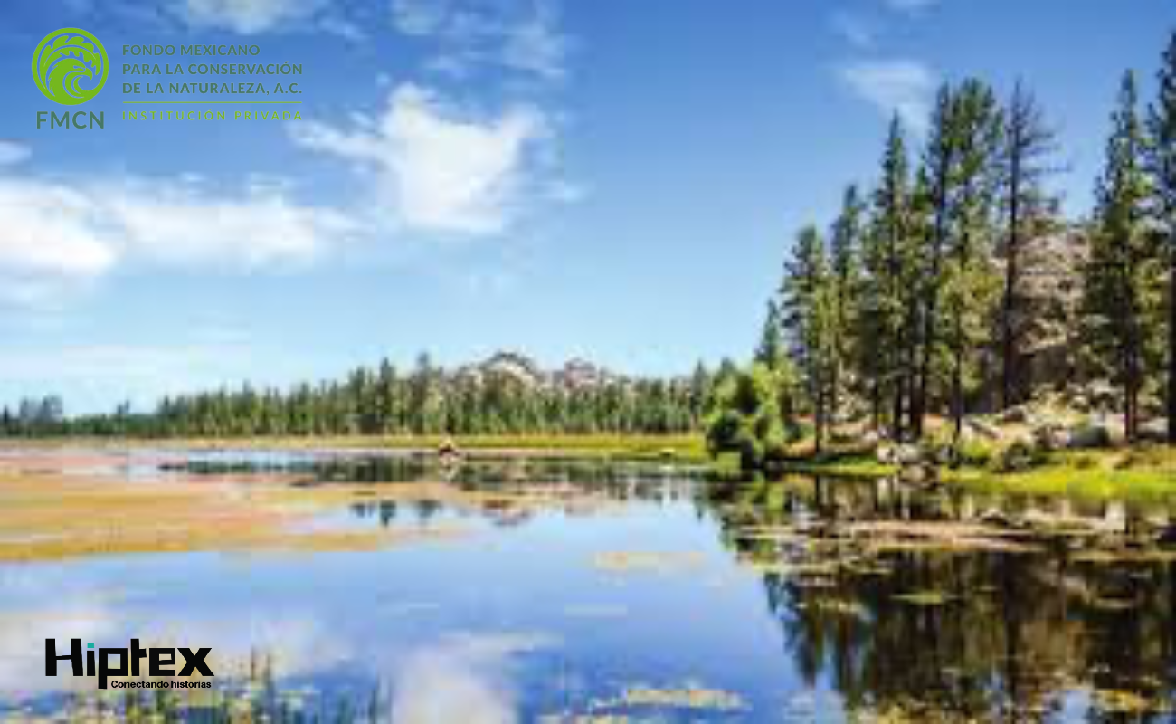 Meta 30x30 es una oportunidad histórica para México y para la naturaleza.