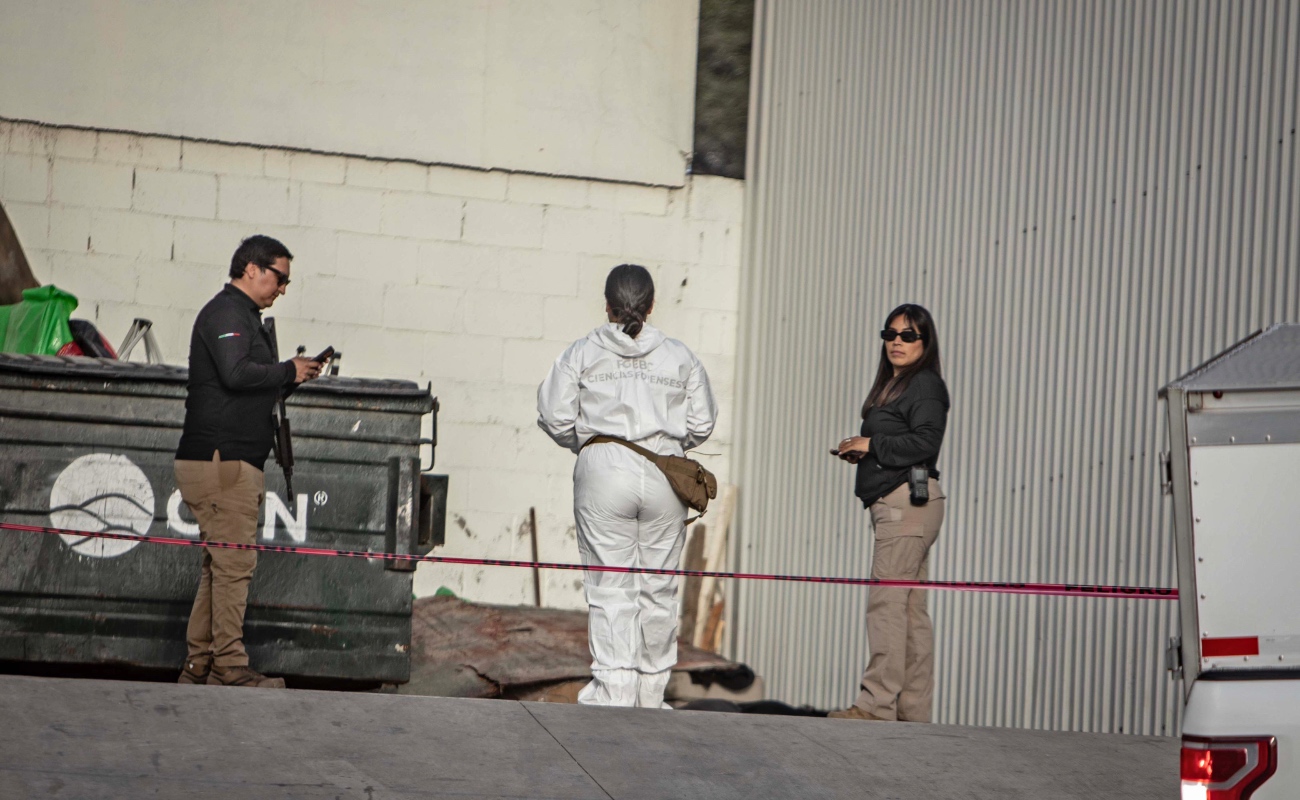 Sujetos asesinan a machetazos a una mujer en la Buenos Aires