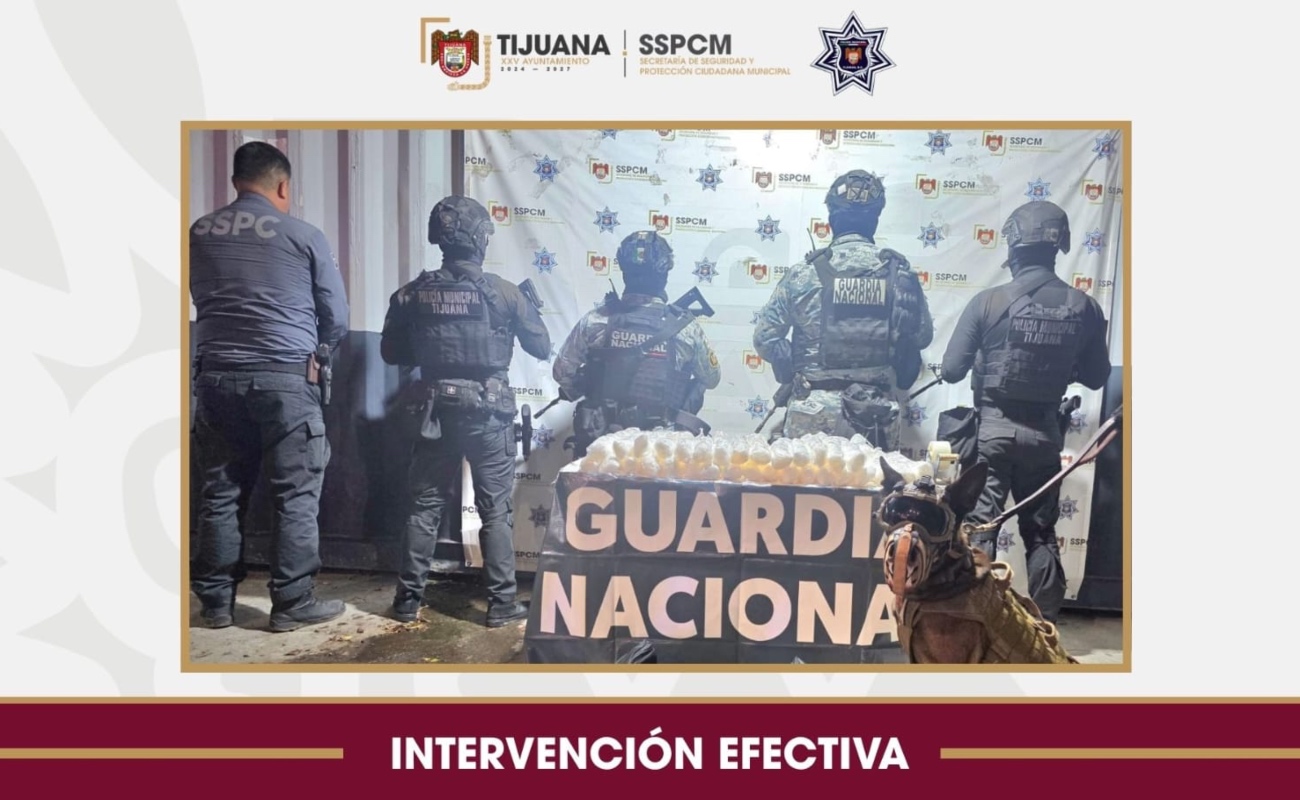 El decomiso se registró en las inmediaciones de la colonia Los Altos.