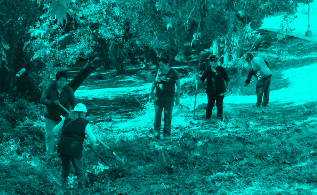 Las personas o grupos interesados en limpiar o reforestar, únicamente pueden hacerlo en ciertas áreas.