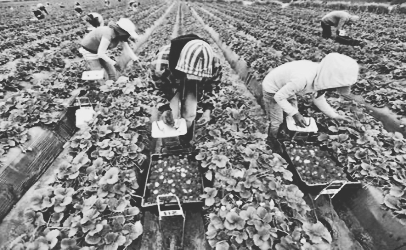 Presentan el libro “El acceso a la Tierra de las Mujeres en México” para visibilizar las desigualdades de género en el ámbito agrario